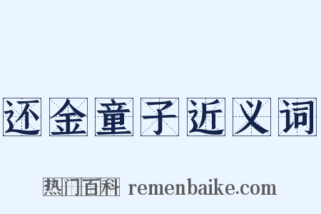 还金童子近义词是什么意思的图片